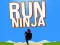 Игра Бягай Нинджа онлайн