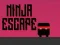Игра Нинджа бягство онлайн
