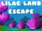 Игра Избягване от Лилавата земя онлайн
