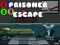 Игра Избягалица от затвор онлайн