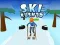 Игра Ски Раш 3D онлайн