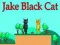 Игра ДжAKE Черен Котарак онлайн