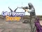 Игра Повик към Смелостта: Стрелец онлайн