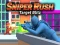 Игра Sniper Assault: Target Blitz онлайн