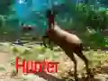 Игра Ловец онлайн Игра Ловец онлайн