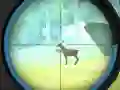 Игра Обучение на Ловец онлайн