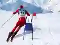 Игра Симулатор на слаломно скиране онлайн Игра Симулатор на слаломно скиране онлайн