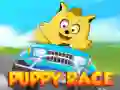 Игра Състезание на кученца онлайн