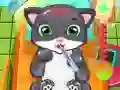 Игра Котешки Лекар онлайн Игра Котешки Лекар онлайн
