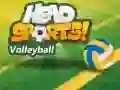Игра Волейбол от Head Sports онлайн