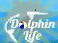 Игра Живот на делфин онлайн