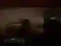 Игра Тревожно джунглово сафари онлайн Игра Тревожно джунглово сафари онлайн