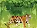 Игра Ядосан тигър оцветяване онлайн