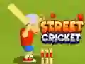Игра Уличен Крикет онлайн