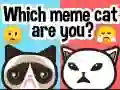 Игра Кой мем кот е ты? онлайн Игра Кой мем кот е ты? онлайн