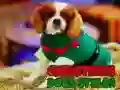 Игра Коледни Стилове на Кучета онлайн Игра Коледни Стилове на Кучета онлайн