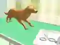 Игра Грижа за лапите онлайн
