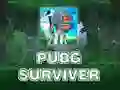 Игра PUBG Оцелял онлайн Игра PUBG Оцелял онлайн