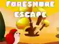 Игра Избягване от брега онлайн Игра Избягване от брега онлайн