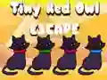 Игра Избягване на Малкото Червено Сови онлайн