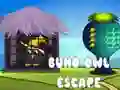 Игра Избягване на бухал Buho онлайн