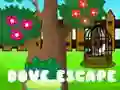 Игра Избягване на гълъб онлайн Игра Избягване на гълъб онлайн
