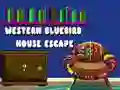 Игра Избягване от къщата на западния синя птица онлайн Игра Избягване от къщата на западния синя птица онлайн
