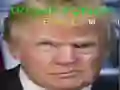 Игра Трамп Смешно Лице онлайн Игра Трамп Смешно Лице онлайн