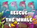 Игра Спасете кита онлайн Игра Спасете кита онлайн