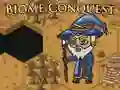 Игра Завоевание на биоми онлайн