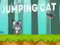 Игра Скачаща Котка онлайн Игра Скачаща Котка онлайн