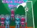 Игра Нинджа Глава Топка онлайн