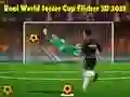 Игра Истинска Световна Купа по Футбол Flicker 3D 2023 онлайн