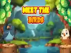 Игра Запознайте се с Птиците онлайн Игра Запознайте се с Птиците онлайн