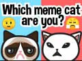 Игра Кой мем кот е ты? онлайн