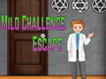 Игра Избягване на Лекото Предизвикателство Amgel онлайн