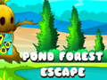 Игра Избягване от горския езеро онлайн