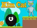 Игра Ким Котка онлайн
