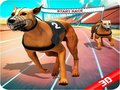 Игра Луда кучешка надпревара онлайн
