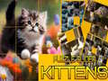 Игра Пъзел Плъзгащи Котенца онлайн
